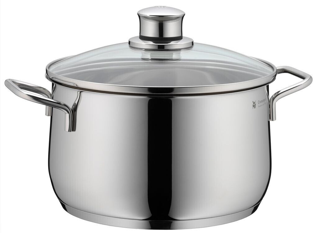 قابلمه تکی 20 سانتی متر وی ام اف آلمان- مدل Diadem Plus Fleischtopf